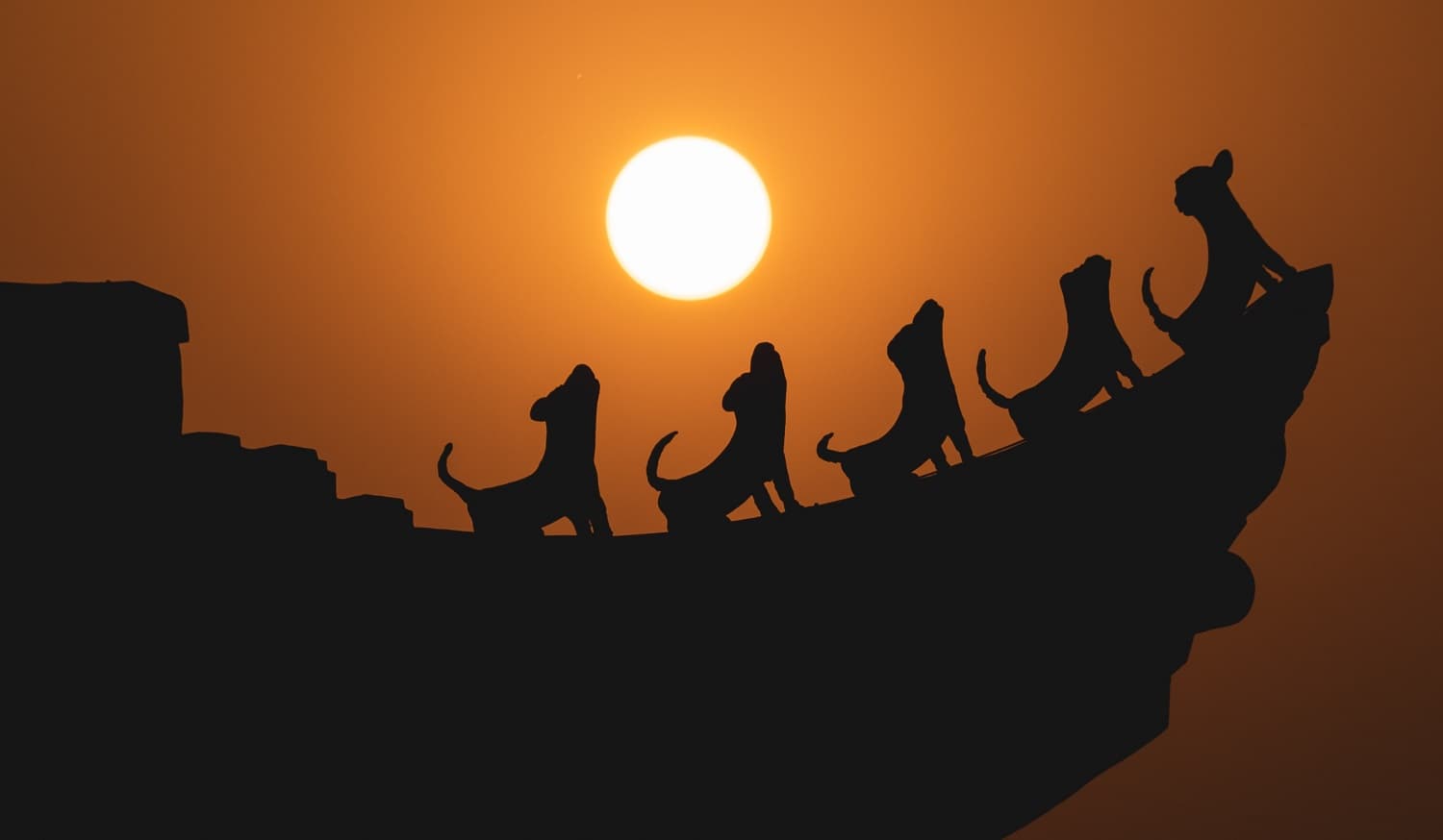 Sunset dog howling